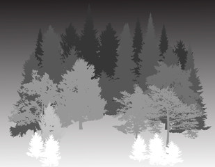 grey and white forest silhouette on dark background