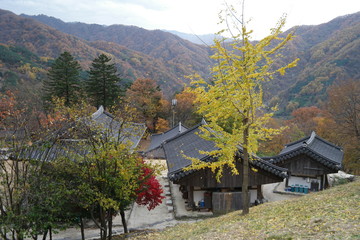 Fototapeta premium Byeoksongsa Temple of South Korea