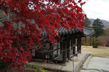 Byeoksongsa Temple of South Korea