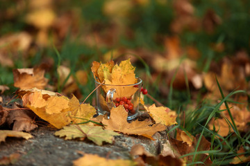 A tea Cup on the street among the autumn leaves stands with viburnum