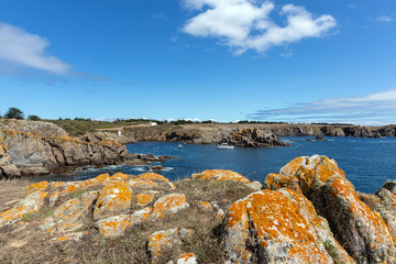 Paysage à l'entrée du port de la Meule sur l'île d'Yeu (Vendée, France)