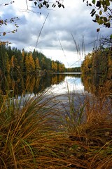 Autumn colors in the forest lake