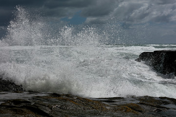 Scenes of Muriwai Beach, Auckland, New Zealand