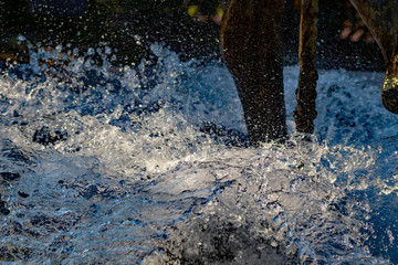 Wassertropfen © codo97