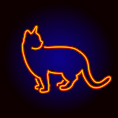 Neon sign cat.