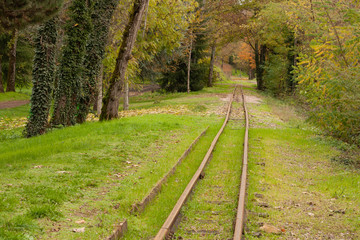 Fototapeta premium ligne droite chemin de fer en forêt