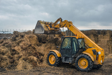 farming in Ukraine, harvesting, storage of silage, fodder for livestock