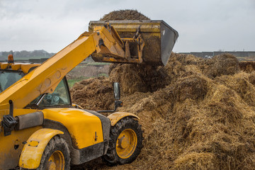 farming in Ukraine, harvesting, storage of silage, fodder for livestock