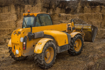 Fototapeta premium farming in Ukraine, harvesting, storage of silage, fodder for livestock