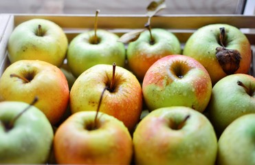 Juicy ripe apples. Yellow-green apples in a wooden box
