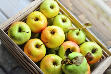 Juicy ripe apples. Yellow-green apples in a wooden box