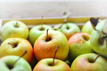 Juicy ripe apples. Yellow-green apples in a wooden box