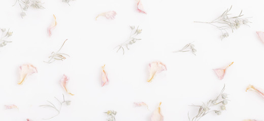 Pattern with dry pink rose petals and wormwood sprigs on a white background. Light romantic...