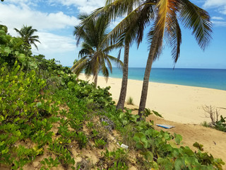 4K_Caribbean_Beach_E_UNYS
