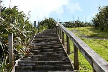 Obraz premium Sceny z Manukau Heads, Auckland w Nowej Zelandii