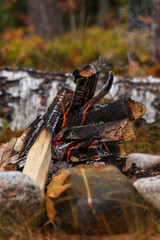 Small campfire with stones around in a Swedish forest during autumn.