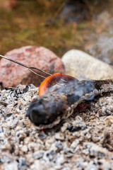 A small sausage beeing cooked over open fire at a campfire inside a Swedish forest during autumn. 