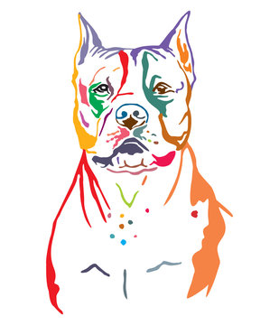 Colorful decorative contour outline portrait of Dog American Staffordshire Terrier, vector illustration in black color isolated on white background. Image for design and tattoo. 