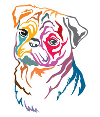 Colorful decorative contour outline portrait of Dog  Pug, vector illustration in different colors isolated on white background. Image for design and tattoo. 