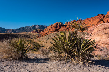 valley of fire