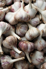 garlic bulbs at a farmers market.