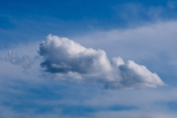 Fluffy white cloud against a soft blue and white sky