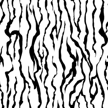 Seamless pattern of black and white stripes. Zebra skin for wallpaper and fabric
