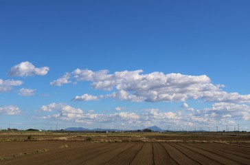 Obraz premium 空 秋 田舎 風景 杤木