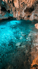The crystal blue water in the rainbow cenote