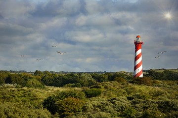 Lighthouse in the Netherlands with seagulls and sun