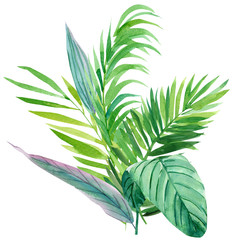 Watercolor bouquet of  tropical leaves on a white background