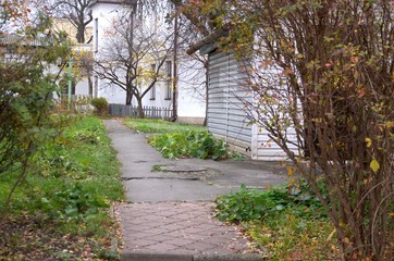 Autumn view of the yard.  A path of asphalt between bushes with yellow and green leaves. White house, near the green grass.