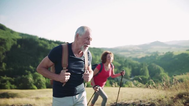 Senior tourist couple with backpacks hiking uphill in nature.