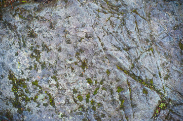 Wet stone texture