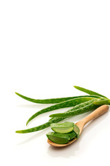 Aloe vera plant and aloe gel on wooden spoon, isolated on white background, closeup.