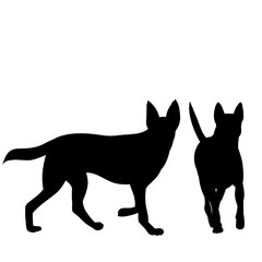 black silhouette of a walking dog