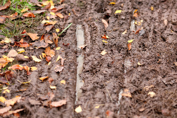 Wheel tracks of mountain bikes in the mud with autumn leaves. Seen in the forest in Bavaria / Germany near Nuremberg at the Schmausenbuck in November.
