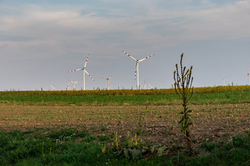 Windräder auf offenem Feld in Österreich