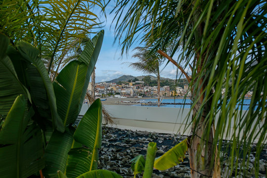 Giardini-Naxos touristic resort on Sicili, Italy seen behind the palm leaves