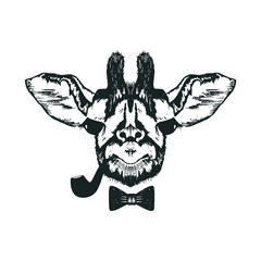 Pretty Hand Drawn Giraffe Muzzle Holding Pipe in Mouth Vector Illustration