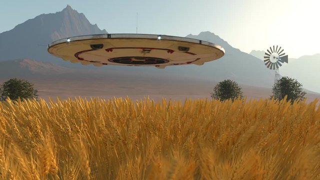 Flying saucer on a reconnaissance mission. Spaceship landing  in the crop field.