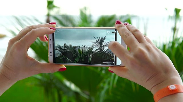 A woman photographs palm trees on the beach with a smartphone. Tourism concept.