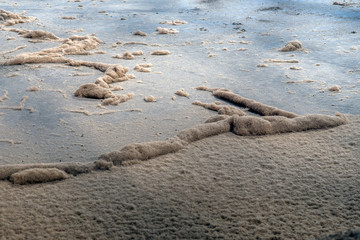 peat fraction, at the processing plant