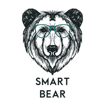 Retro Hipster Bear Animal Wearing Glasses Vector Illustration
