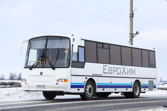 Kavz 4238 Avrora