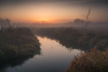 Fototapeta na wymiar Sunrise on a foggy morning in the Jeziorka valley near Piaseczno, Poland