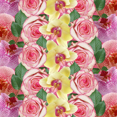 Beautiful floral background of orchids and roses. Isolated