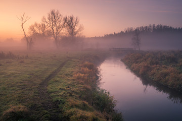 Fototapeta na wymiar Sunrise on a foggy morning in the Jeziorka valley near Piaseczno, Poland