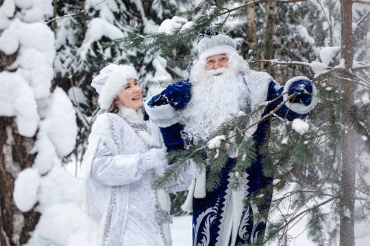 Father Frost with a bag of gifts and a Snow Maiden in the forest, among snowy trees. Winter, December. Russian Christmas characters: Ded Moroz (Father Frost) and Snegurochka. Bright emotion of joy. 