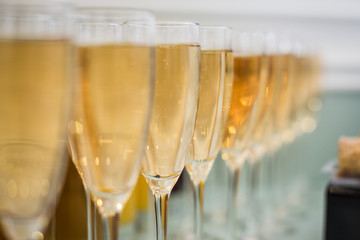 Lot of glasses filled with champagne are lined up ready to be served . Champagne Glasses during on the party table